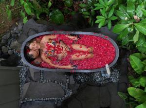 Delta Casa Ubud - A-Frame Jungle Retreat with Volcano View and Hot-Tubs