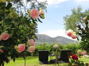 Hotels Hotel mon Soleil : photos des chambres