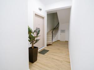 Elenis house