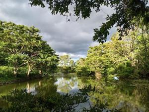 Habarana Lake Breeze Cabana