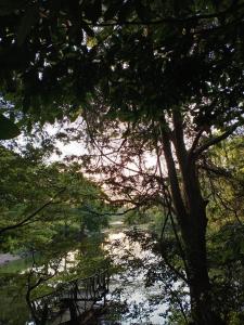 Habarana Lake Breeze Cabana