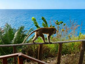 Penida Suwehan Cliffside
