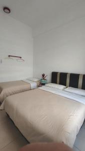 Cameron Cactus Apartment @ Pangsapuri Kaktus