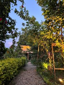 Green Himalaya Farm Stay