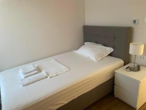 Apartment Viktor Belgrade Airport