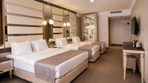 Elite World Nest Van