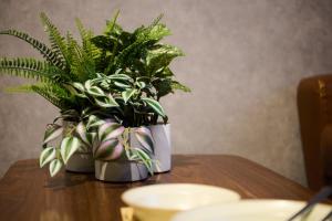 Sapporo - Apartment - Vacation STAY 29227v