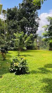 Exclusive Cottage- Meppadi, Kalpetta, Wayanad