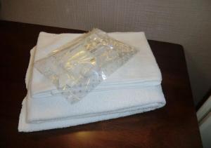 Azu garden Nippombashi Vacation STAY 74127