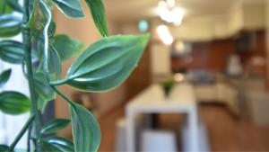 Marugamemachi Building 3rd floor - Vacation STAY 51067v