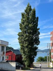 Populus-club Otaru - Vacation STAY 93686v
