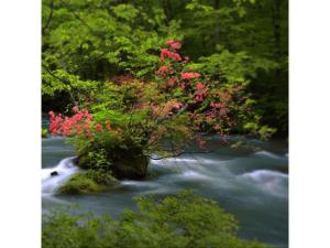 Towada City Hotel - Vacation STAY 85232v