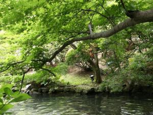 Suikoyen Hotel - Vacation STAY 53826v