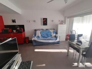 Large studio rental with pool en 1ere ligne de mer