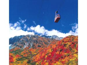 Hotel Tetora Resort Tateyama Kokusai - Vacation STAY 55690v