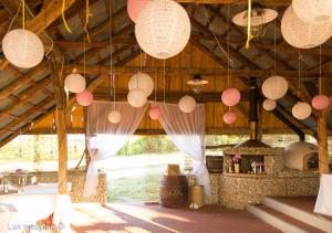 Vinum Vivo winery