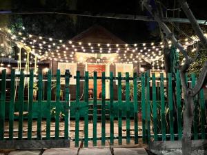 Discover Indores ONLY Wooden Tree-House Stay!