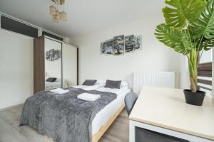 RentPlanet - Apartament Jana Kazimierza II
