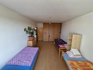 LV Central Apartment