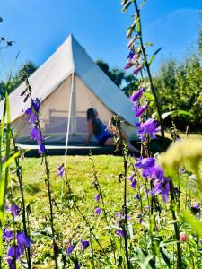 Glamping Vranov Na samotě U Včelína