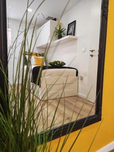 NEW & Freshly Renovated Apartment Luanna Koper