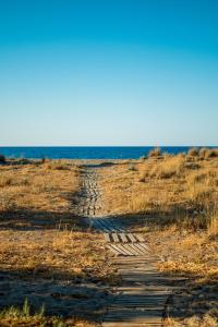 Delta Beach