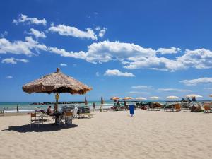 Mare e Tulipani