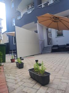Nora Residence 5