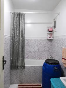 Appartement bab ezzouer