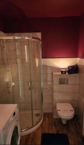 Galaxy apartament