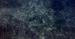 RumbepyarHomeStay
