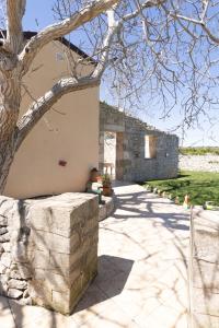 Tenuta Cappello