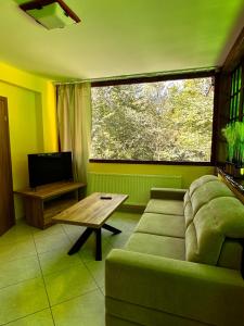 Apartament z 1 sypialnią