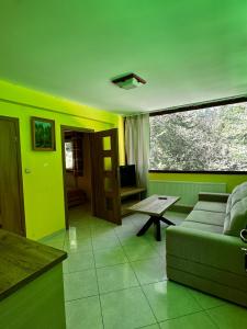Apartament z 1 sypialnią