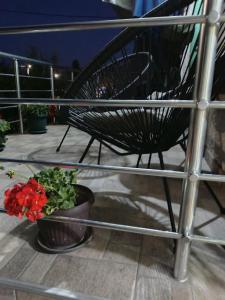 Apartman Dragan