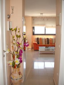 Gemelos 26 - Zand Properties