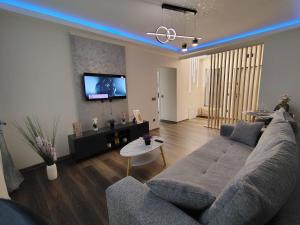 David Apartament