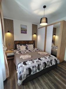 David Apartament