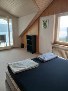 Zimmer mit Panoramablick auf den Zürichsee mit eigenes Bad und Terassenzugang