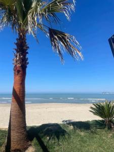 Apartment Mali i Robit