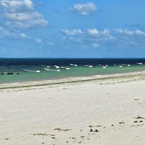 Private Beachfront Apartment with Ocean Views in Zanzibar