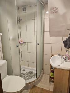 Apartamenty, Pokoje w Długoszówce