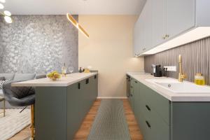 Deluxe Apartment with AC & Terrace