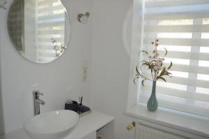 HMTL Apartments - Duplex Open Concept With Garden