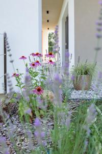 Balsamia Boutique Apartments