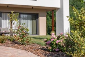 Balsamia Boutique Apartments