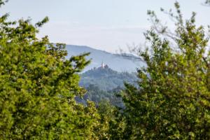 Balsamia Boutique Apartments