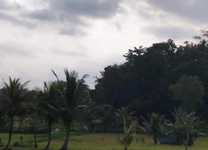 villa santai mandalika