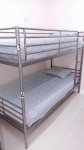 Hostel Sofia