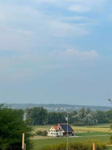 Tengs